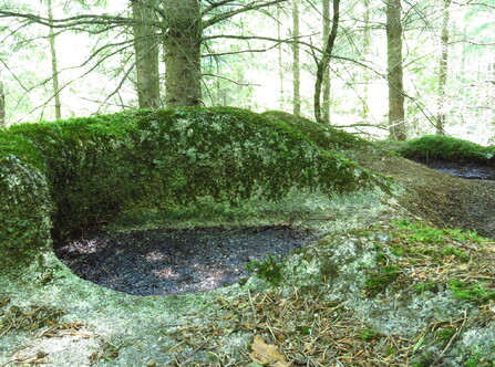 Sites mégalithiques en Morvan Nord