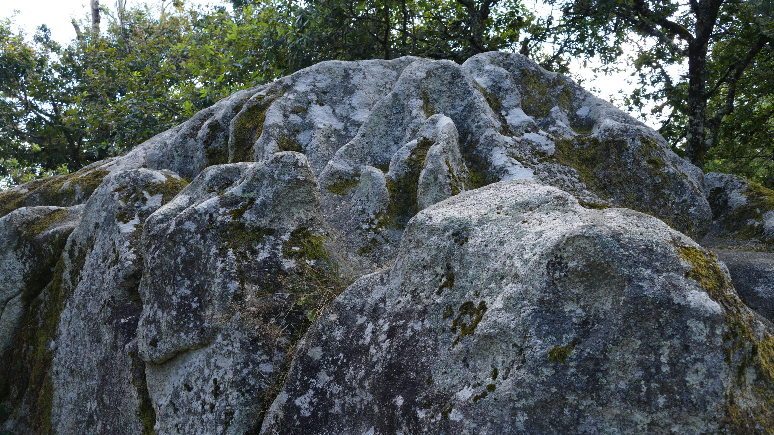 Roche à cupules et bassins